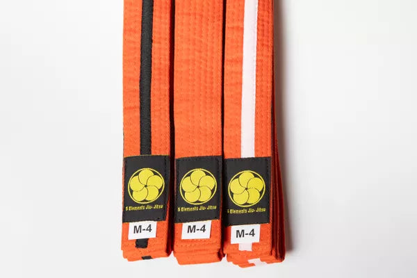 Kids Brazilian Jiu Jitsu Belts Preshrunk Martial Arts Youth BJJ Belts for Girls & Boys with BJJ Ranking Stripes