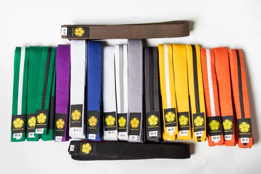 Kids Brazilian Jiu Jitsu Belts Preshrunk Martial Arts Youth BJJ Belts for Girls & Boys with BJJ Ranking Stripes